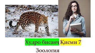 Худро бисанҷ қисми 7. Зоология. 2021. довталаб