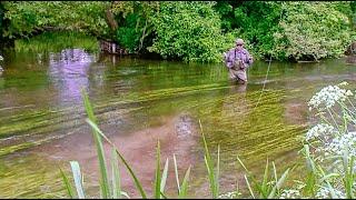 Oliver Edwards Demonstrates the Snap Roll Cast: An Essential Dry Fly Casting Skill