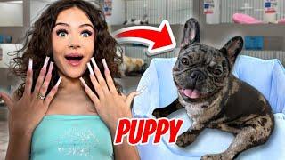 ADOPTING A PUPPY!!