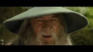Look it's Gandalfs horse.... WTF