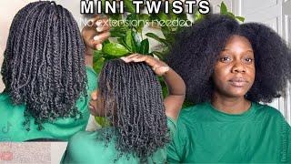 Grow your hair with MINI TWISTS|| Mini Twists Tutorial on Type 4 NATURAL HAIR