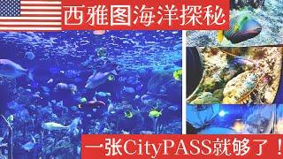 一张CityPASS畅游西雅图水族馆感受自然海洋之美！CityPASS: Explore Seattle Aquarium and Discover Ocean Wonders!