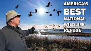 THIS is America's BEST National Wildlife Refuge.