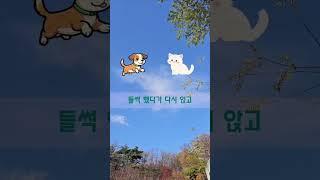 이제부터 보림이다 #마음관리 #명상 #젊게사는비결