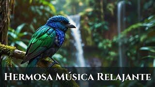 Hermosa Música Relajante  Deja De Pensar Demasiado, Música Para Alivio Del Estrés  Melodías Suaves