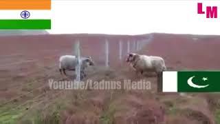 India ko Border per cher char mehanga par gaya (only for laugh)