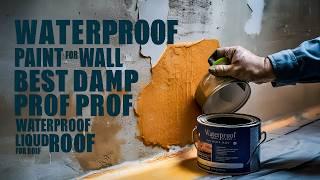 Waterproof Paint for Wall | Best Damp Proof Paint | Waterproof Liquid for Roof