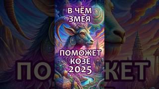 В чём повезет Козе в 2025 год Змеи? #гороскоп #астрология