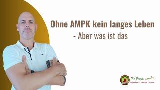 Ohne AMPK kein langes Leben   Aber was ist das