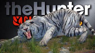 Seltene TIGER in der LODGE - Trophy Lodge React! | theHunter Call of the Wild