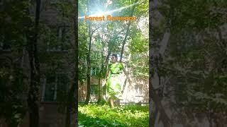 Flamenco improvisation por tangos