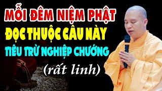 Mỗi Đêm Niệm Phật Đọc Thuộc Câu Này TIÊU TRỪ NGHIỆP CHƯỚNG (rất linh) - Thầy Thích Đạo Thịnh