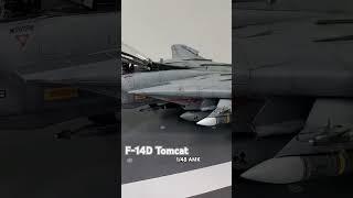 AMK 1/48 F-14D Tomcat