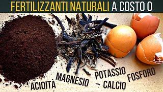 Super fertilizzanti naturali ️ dagli scarti della cucina a costo 0 | Food Stories