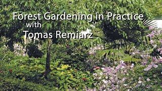 Forest Gardening in Practice with Tomas Remiarz