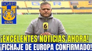 ¡BOMBAZO AHORA! ¡CONFIRMADO PRIMER FICHAJE DIRECTO DE EUROPA! ¡TIGRES LISTO PARA EL PRIMER JUEGO!