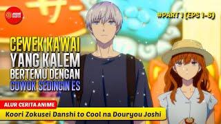 CEWEK KAWAI YG JATUH CINTA KEPADA MANUSIA YANG SUPER DINGIN - ALUR CERITA ANIME KOORI ZOKUSEI DANSHI