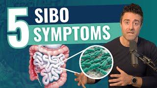 5 SIBO Symptoms To Watch Out For - Small Intestinal Bacterial Overgrowth