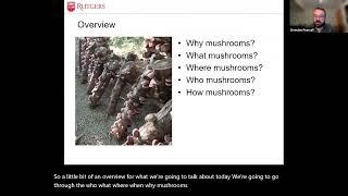 Homesteading Academy: Fun with Fungi - Grow Your Own Mushrooms!