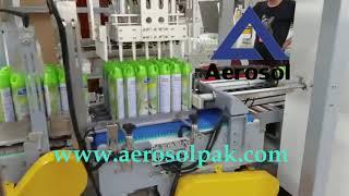 Aerosol Can Pick and Place Case Packer for Aerosol Cans - AEROSOL CAN CASE PACKING