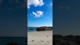 Beautiful  sandy beaches Norway #shorts  #shortfeeds