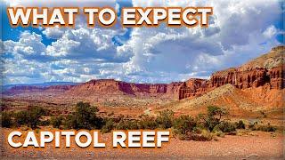 Things to Do at Capitol Reef National Park | Where to Stay + What to Expect