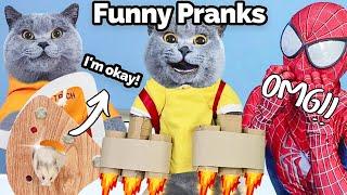 Celebrating One Year With A Wonderful Video Feast! | Oscar‘s Funny World |New Funny Cat Videos 2023