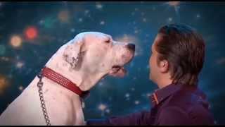 Cachorro canta Whitney Houston - Belgium's Got Talent