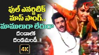 #NBK Full Energetic Song | Dandalo Dandamandi Song with 4K | Vansanikokkadu Movie | Old Telugu Songs