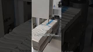 Automatic serviette paper making machine  with embossing and two colors printing functions