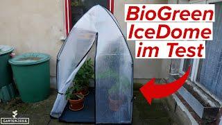 Überwinterungszelt IceDome von BioGreen Test. Einfache Überwinterung von kleineren Kübelpflanzen!