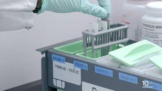 Visium CytAssist Deparaffinization H&E Staining Demonstrated Protocol | Tissue Deparaffinization