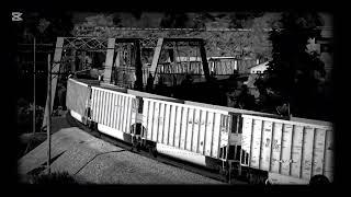 Railfanningz | a Seaboard System Mixed freight at Jeff Jct.