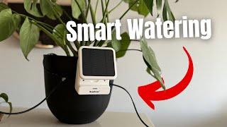 Water Houseplants in Your SMART HOME! | RainPoint Indoor Irrigation System