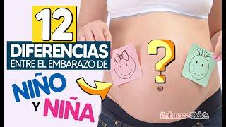 12 DIFERENCIAS entre el Embarazo de NIÑO Y NIÑA  ¡Descúbrelo HOY!