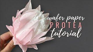 How to make wafer paper king protea. Wafer Paper Friday Ep. 8