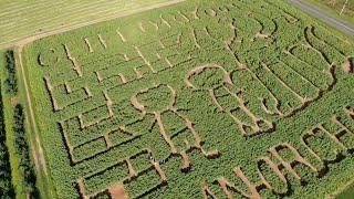 Try the Sunflower maze at Lyman Orchards