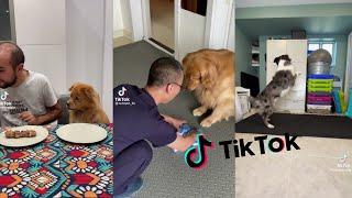 Videos de animales graciosos | Tik Tok compilation #29