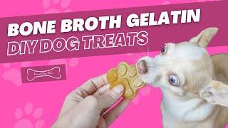 Bone Broth Gelatin DIY Dog Treats (Great for Senior Dogs) | Proud Dog Mom