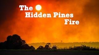 Help Raise Funds for the Hidden Pines Fire