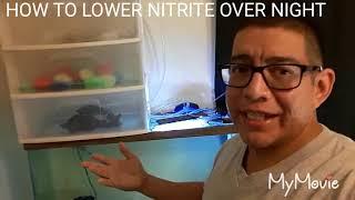 How to lower nitrite over night