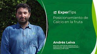 Expertips: Posicionamiento de Calcio en la fruta