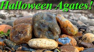 Gorgeous Surprise Green Moss Agate! Rockhounding for Agates, Jaspers, and More on Halloween!