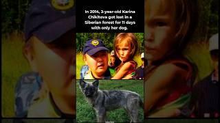 A Girl and Her Dog Survived 11 Days Lost in the Siberian Forest – Incredible Story! #shorts