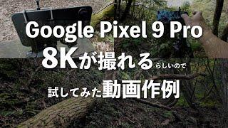 Pixel 9 Proで8K動画が撮れるらしいので試してみた