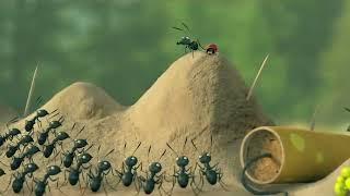 Minuscule Red Ant Vs Black Ant-1