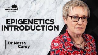 Epigenetics: An Introduction – Dr Nessa Carey