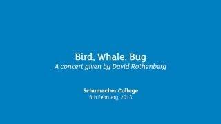 David Rothenberg - 'Bird, Whale, Bug' concert