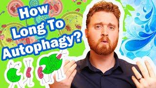 Autophagy Fasting: How Long Do You Need To Fast To Reach Autophagy?