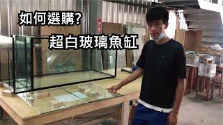 如何選購超白玻璃魚缸？｜海皮尼斯水族系統設計研究HADR｜